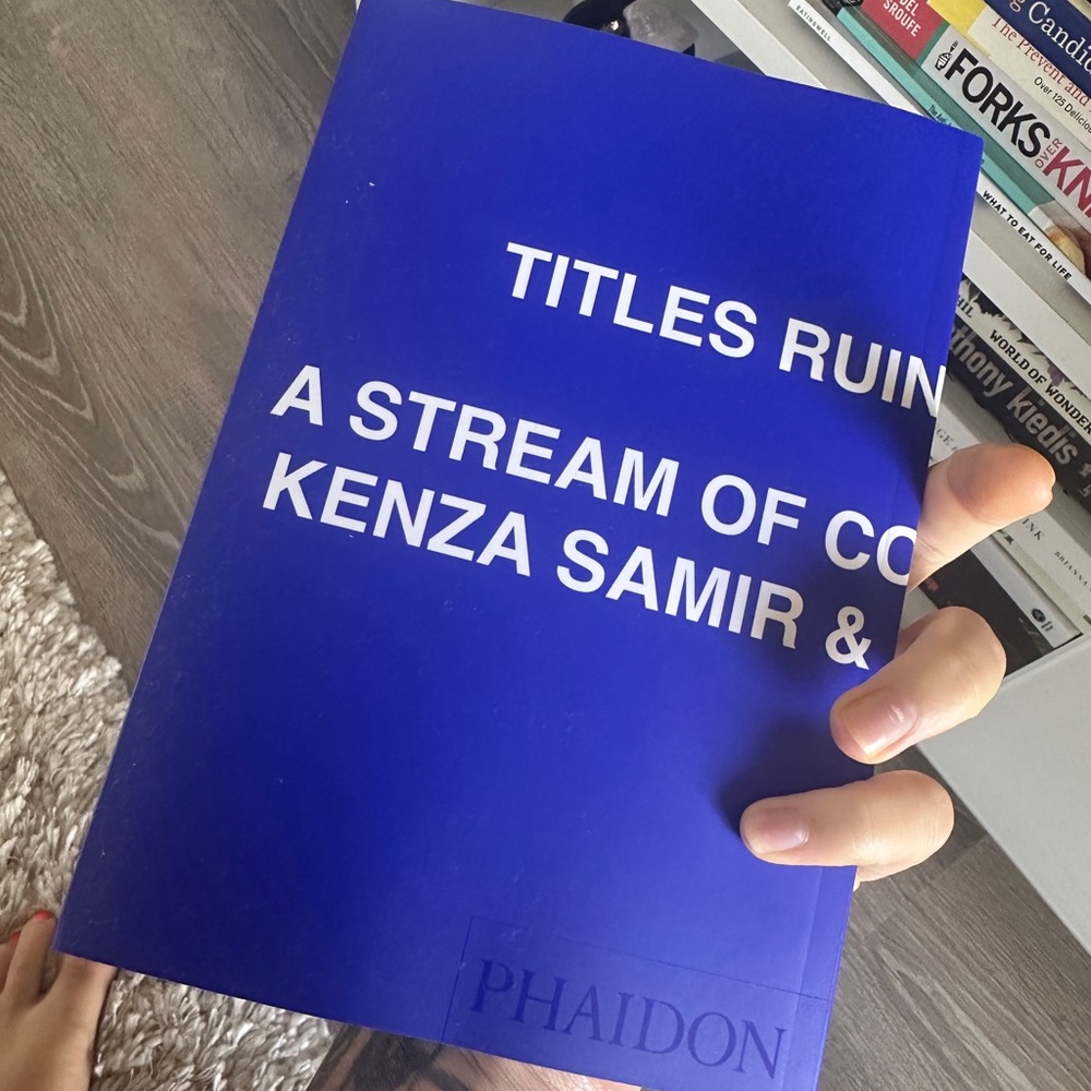 TITLES RUIN EVERYTHING POETRY BOOK- DRAKE